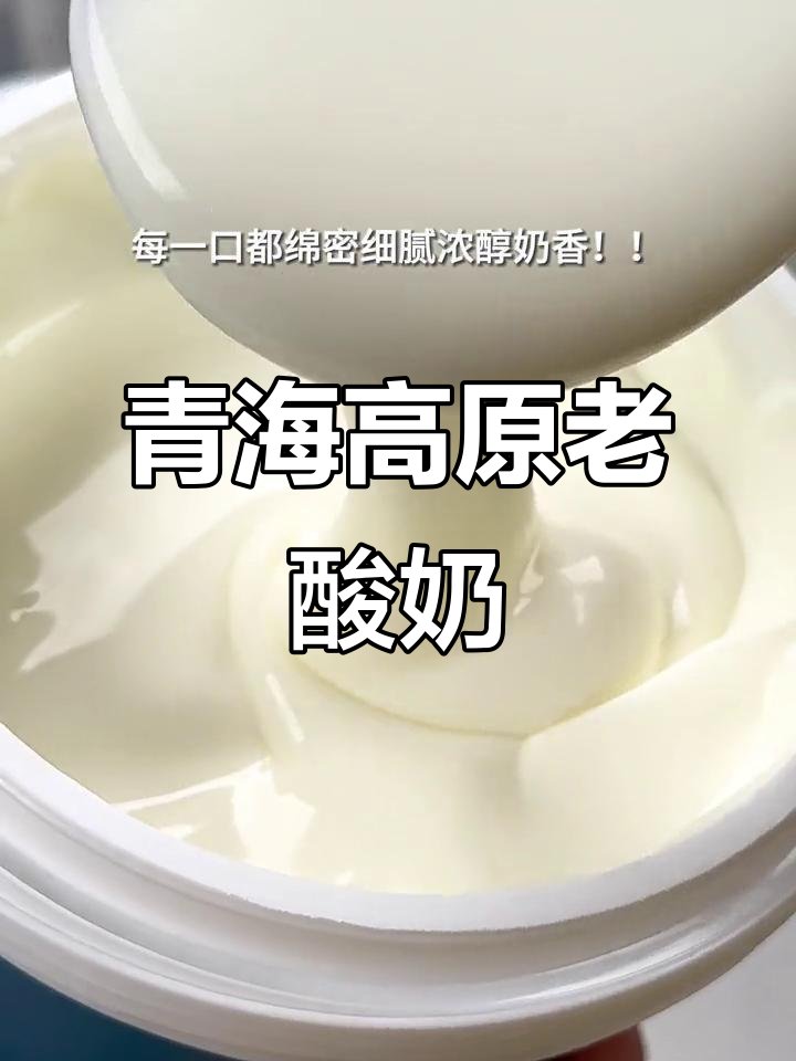 青海老酸奶🥛｜高原奶香暴击・厚奶皮绝了