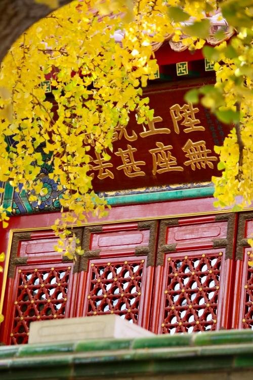 八大处公园🙏｜西山古刹・禅意山林