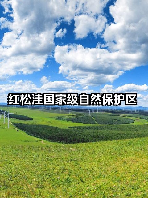 承德红松洼自然保护区🌿｜高山草甸・风车秘境
