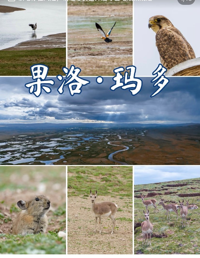 玛多星星海💧｜千湖秘境·黄河源头