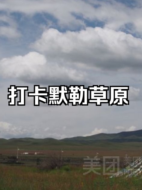 默勒草原🌾｜云端牧场・小众花海