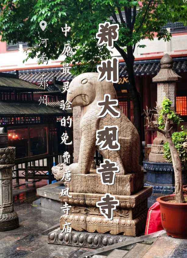 信阳黄柏山🌿｜林海云雾・天然氧吧