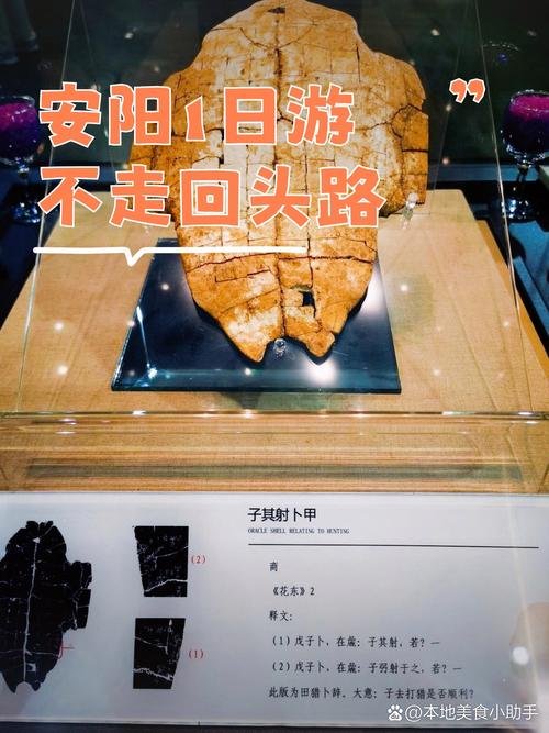 安阳中国文字博物馆📜｜甲骨文明・汉字殿堂