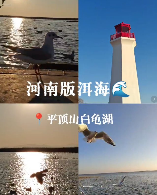 平顶山昭平湖🌊｜水库烟波・渔家风情