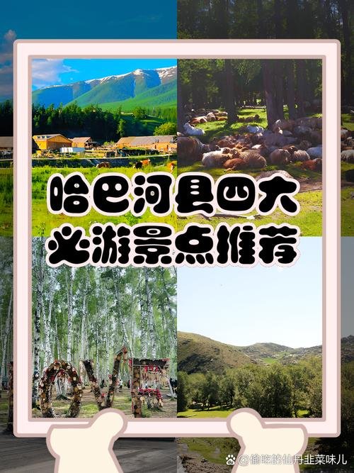 天峻布哈河🌊｜草原长河・湟鱼廊道