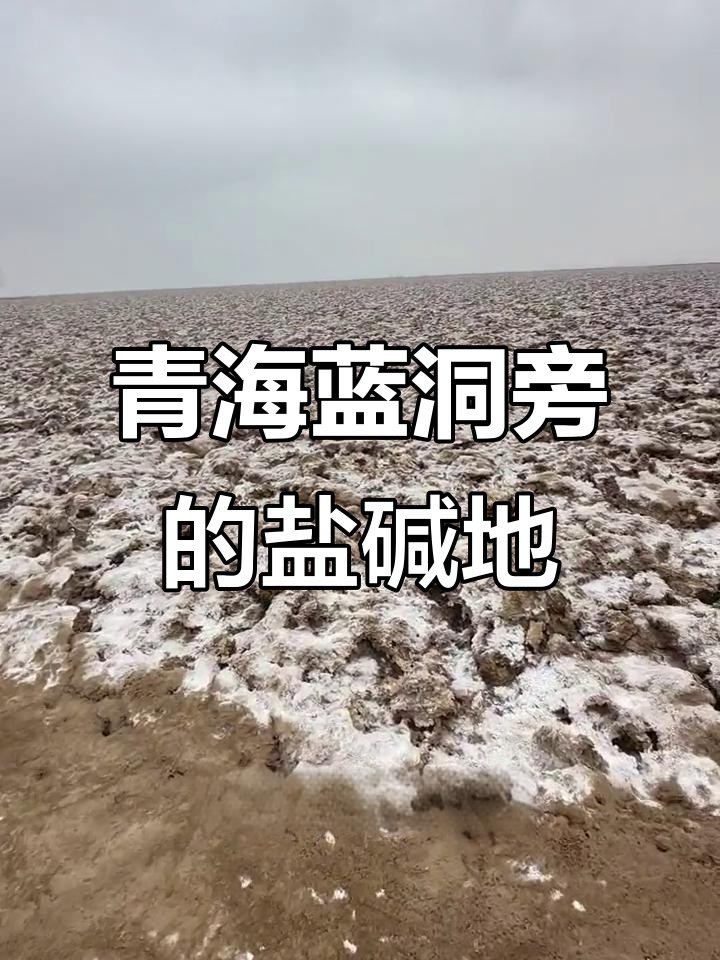尕斯库勒湖💙｜戈壁蓝泪・荒野静湖