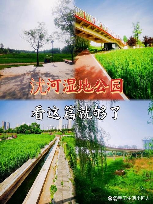 唐山丰润浭河国家湿地公园🦆｜城市湿地・观鸟休闲