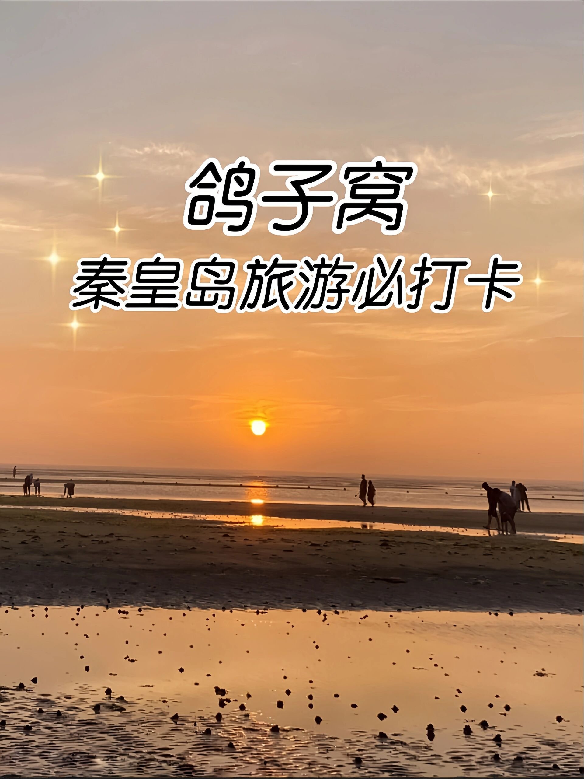 秦皇岛鸽子窝湿地🌅｜湿地观鸟・红日浴海