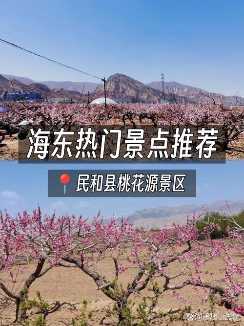 民和桃花园🌸｜河湟花海・春日限定