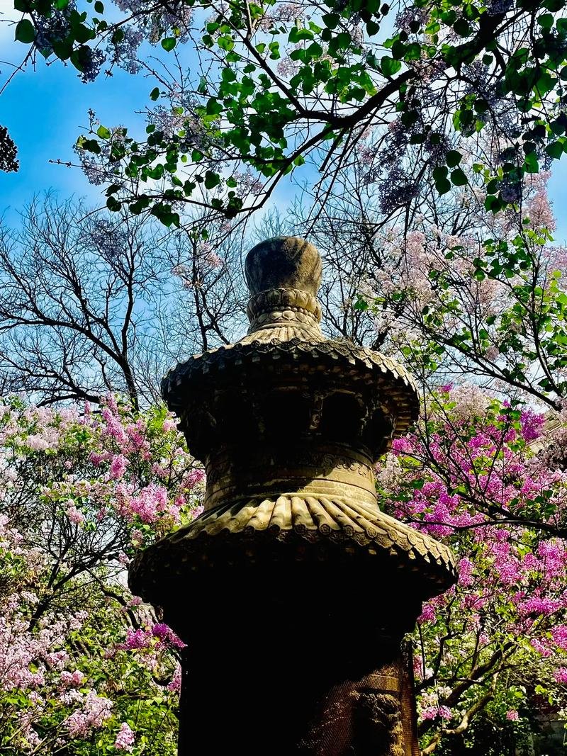 法源寺💜｜京城最古刹・丁香香雪海