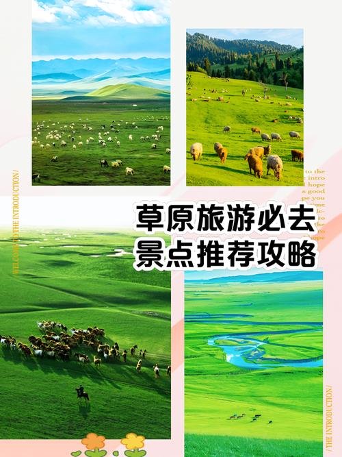 共和切吉草原🌾｜万亩牧场・游牧风情