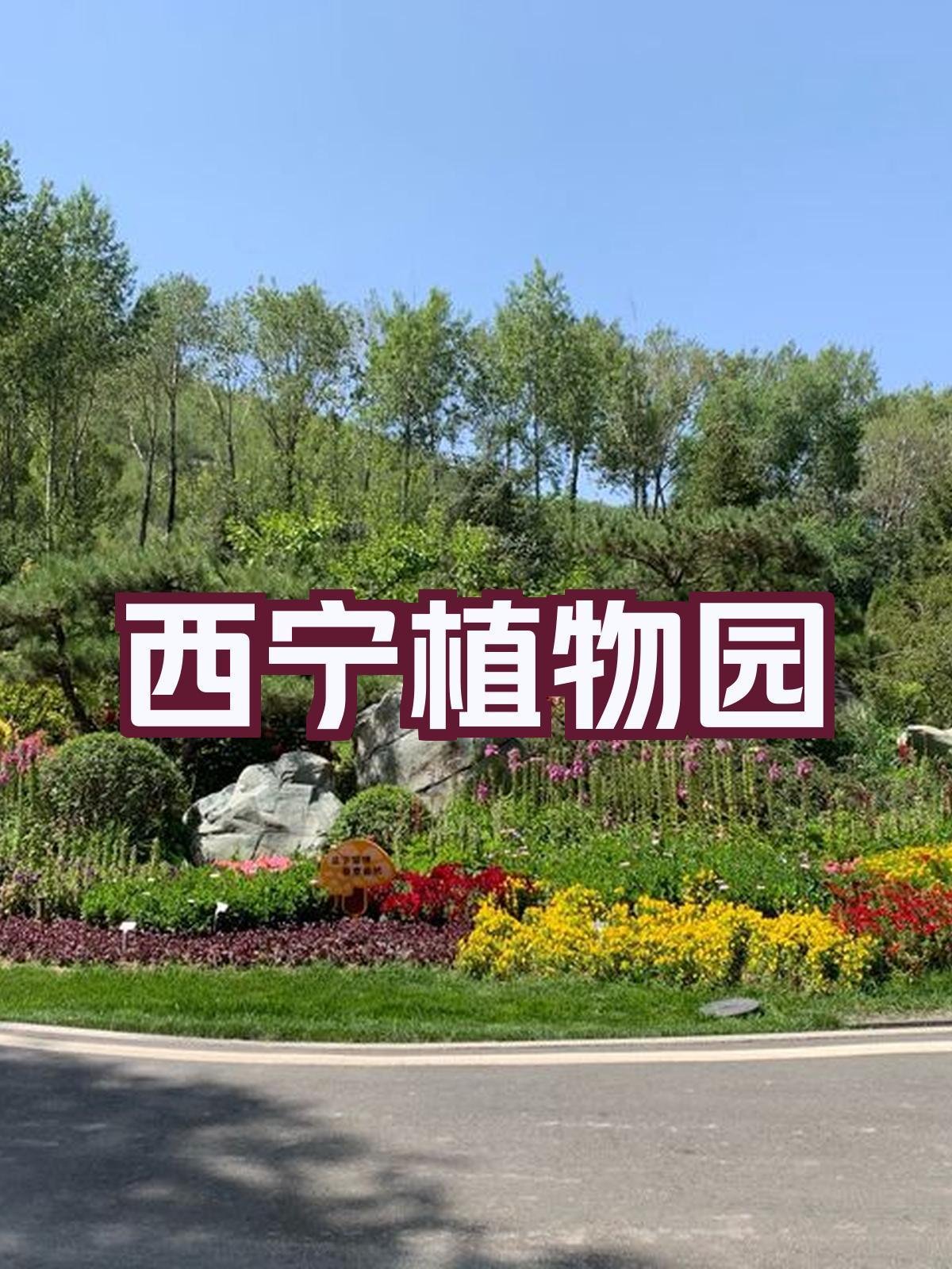 西宁植物园🌷｜都市绿肺・四季花海