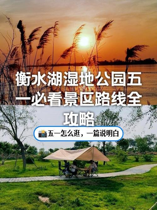 衡水湖🦆｜衡水桃城｜华北第二大湖・候鸟天堂