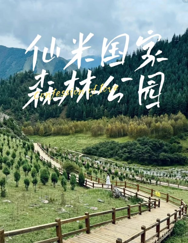 驻马店薄山国家森林公园🌲｜森林秘境・湖泊仙境