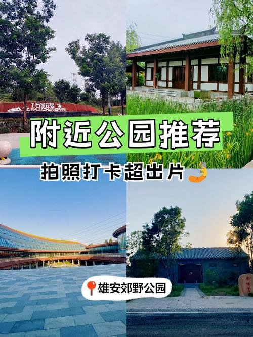 雄安新区郊野公园🌸｜城市绿肺・四季花海