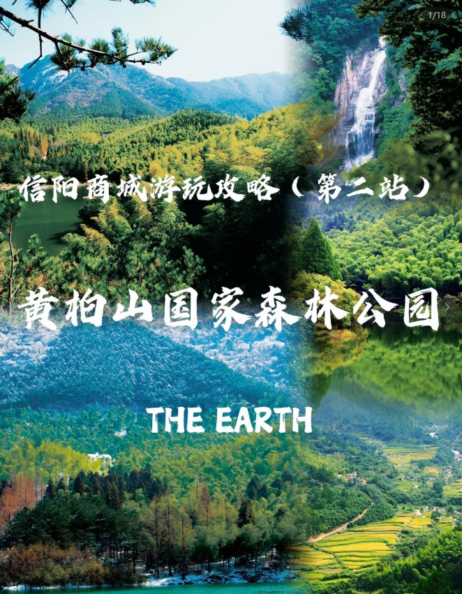 信阳黄柏山🌿｜林海云雾・天然氧吧