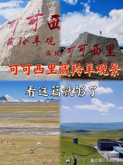 可可西里🦌｜无人区秘境・藏羚羊故乡