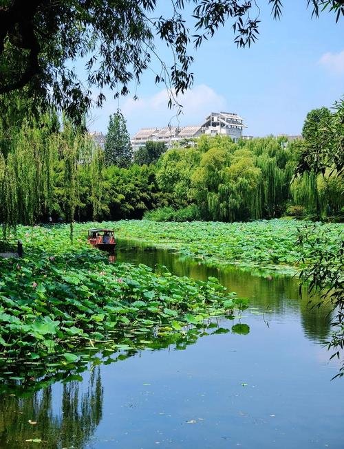 紫竹院公园🎋｜免费江南风公园，竹影与湖光