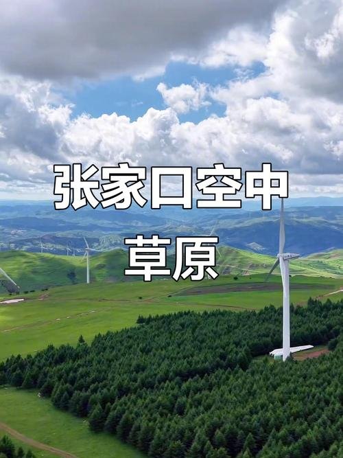 张家口空中草原🌿｜张家口蔚县・高山草原・花海风车