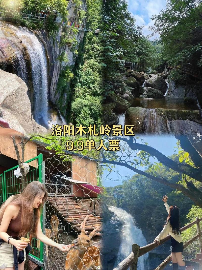 洛阳木札岭🍃｜原始林海・瀑布秘境
