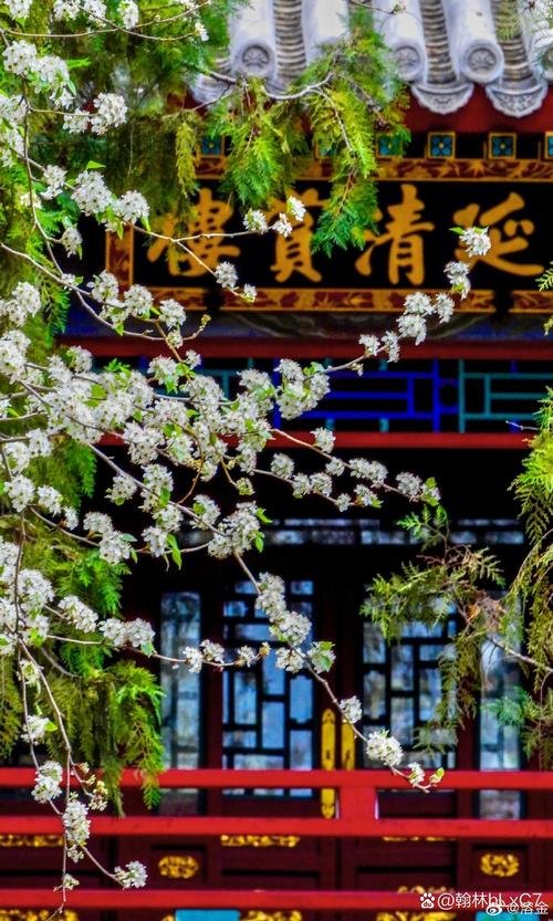 颐和园🌸｜慈禧的私家江南园林