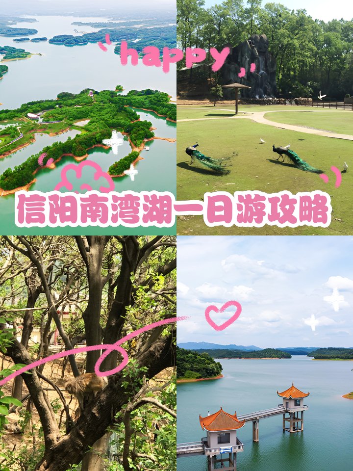 信阳南湾湖🌊｜中原第一湖・茶岛风光