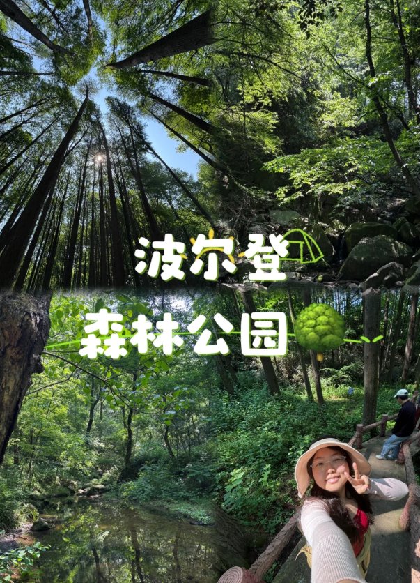 信阳波尔登森林公园🌲｜落羽杉林・绿野仙踪