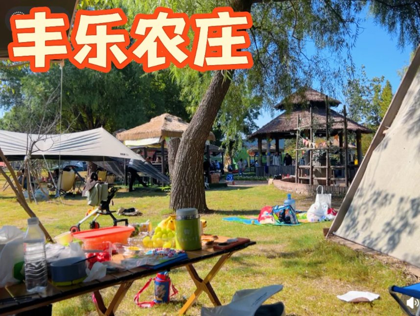 郑州丰乐农庄🌾｜黄河边的田园治愈系