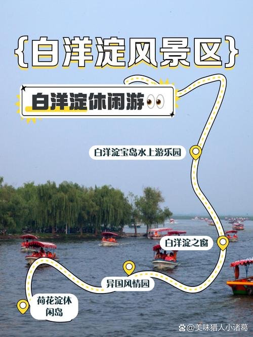 雄安新区白洋淀湿地公园🌿｜湿地花海・生态长廊