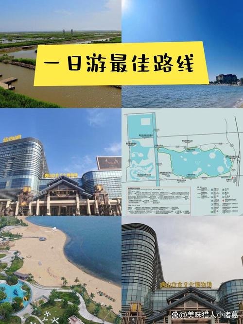 唐山曹妃甸湿地🦢｜渤海湿地・候鸟天堂