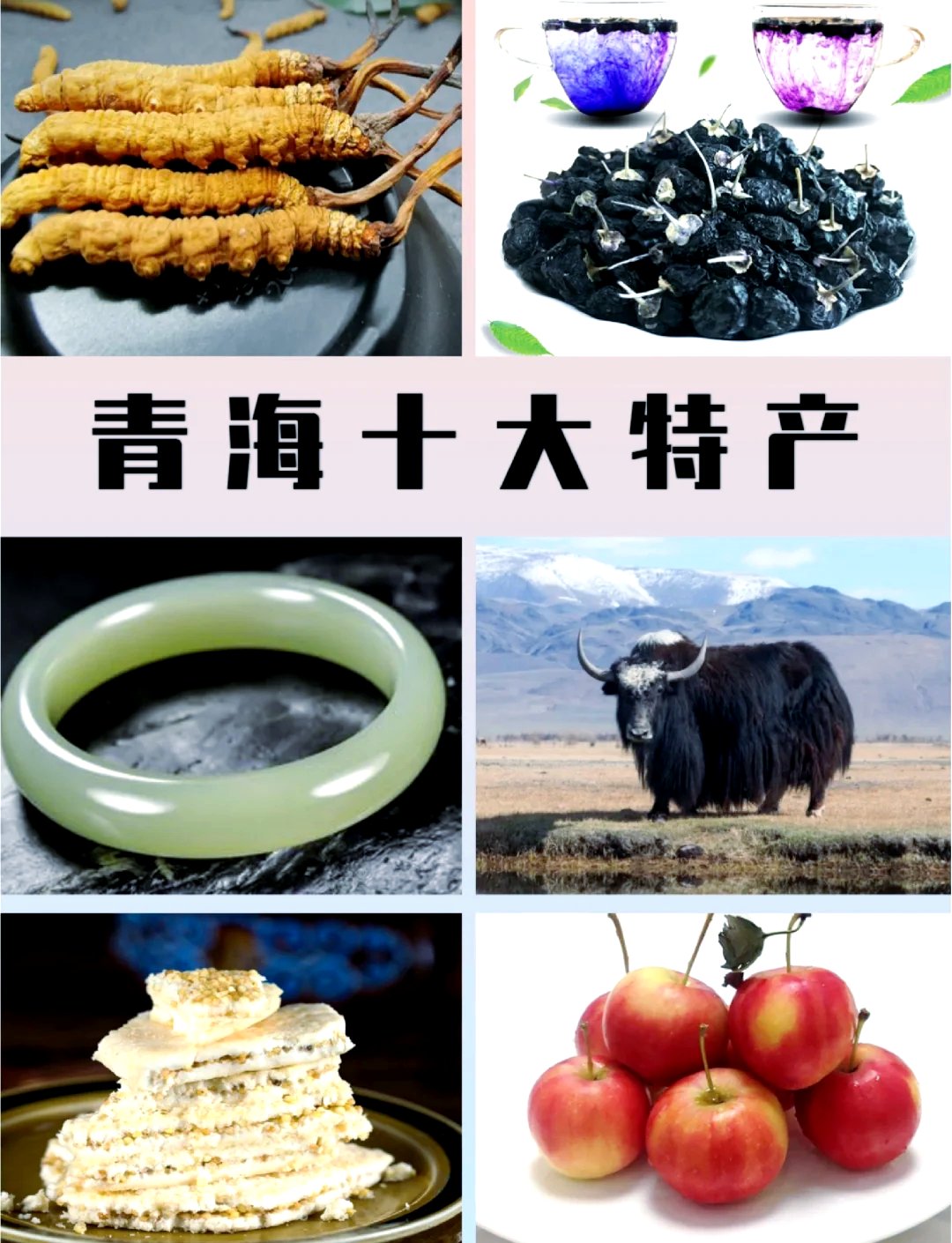 青稞酒🥂｜藏区特色酒・绵柔清香