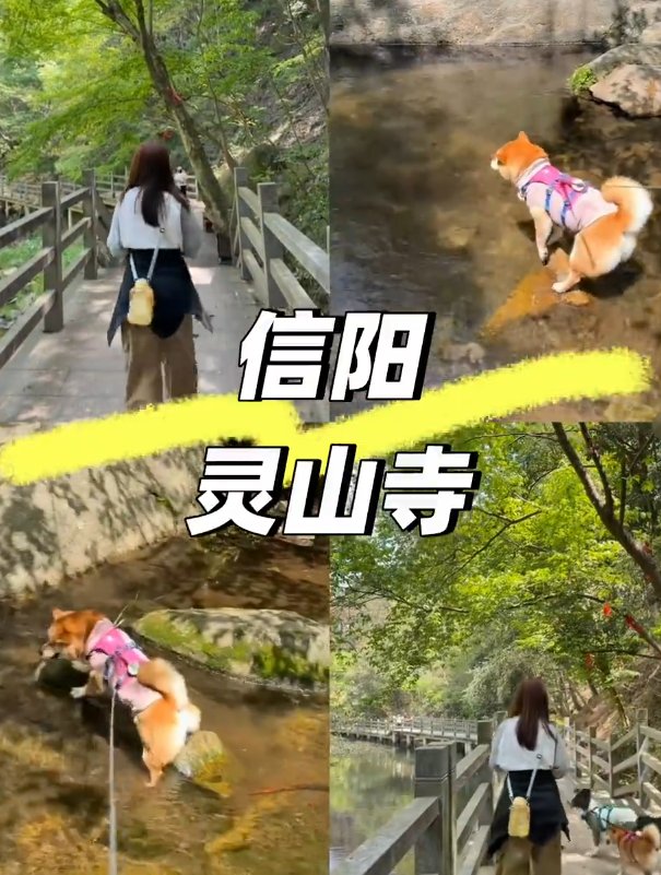 信阳灵山⛰️｜古寺祈福・灵山秀水