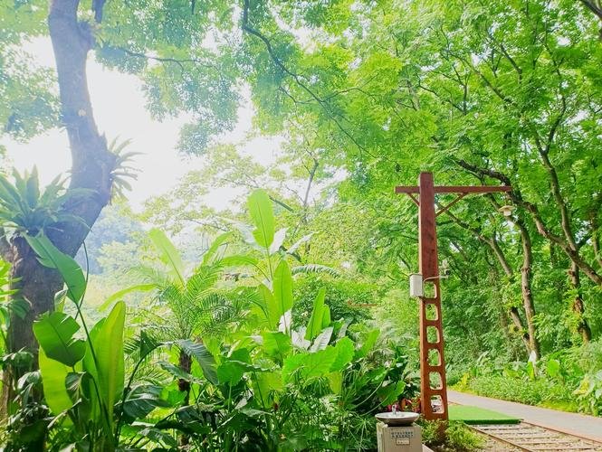 将府公园🌿｜城区湿地公园・森林铁轨