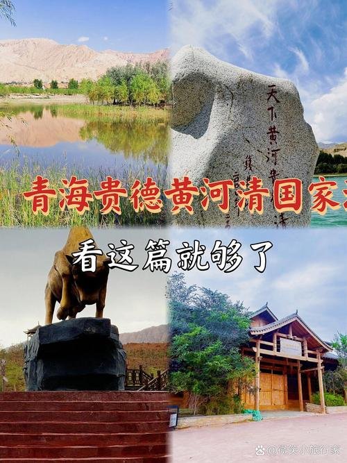 清水黄河湿地🦆｜河畔湿地・生态乐园