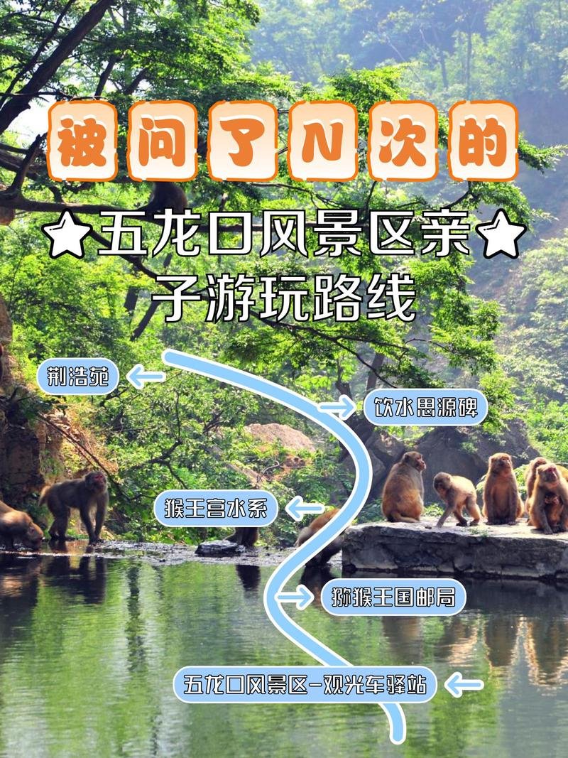 济源五龙口🐒｜太行猕猴・峡谷仙境