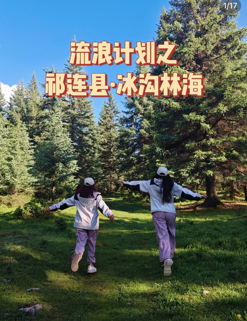 祁连冰沟林海🌲｜原始森林·徒步秘境