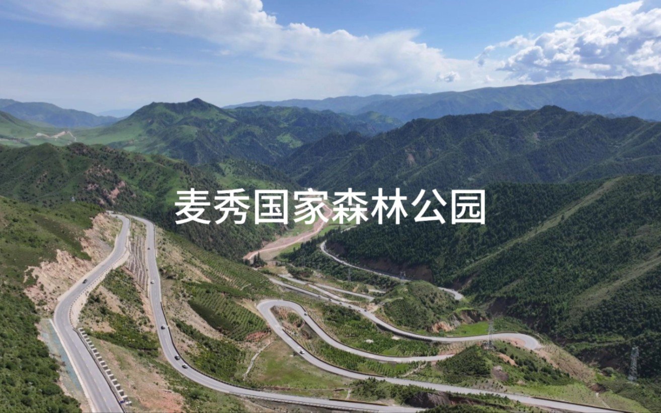 麦秀国家森林公园🌳｜林海草原・藏乡风光