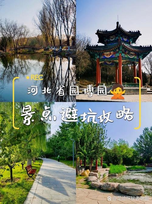 衡水园博园🌸｜湖城花海 休闲遛娃好去处🌸｜湖城花海 休闲遛娃好去处