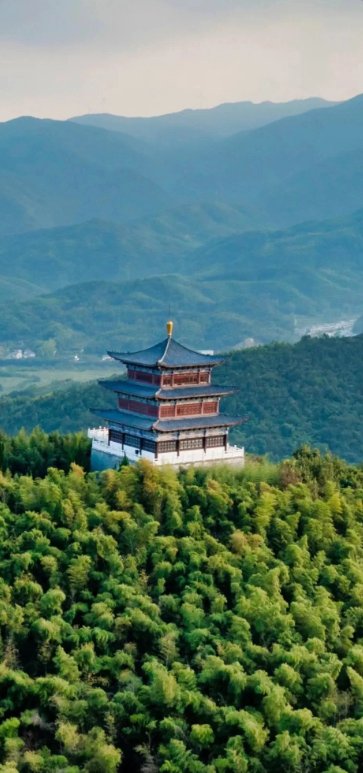信阳西九华山🌿｜茶田竹海 + 禅意山水