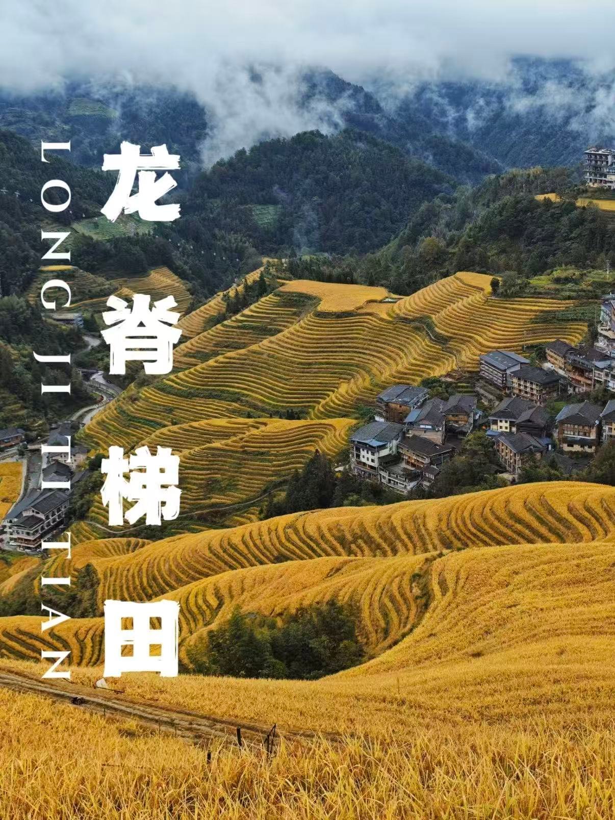 🌾 龙脊梯田｜藏在大山里的金色奇迹✨