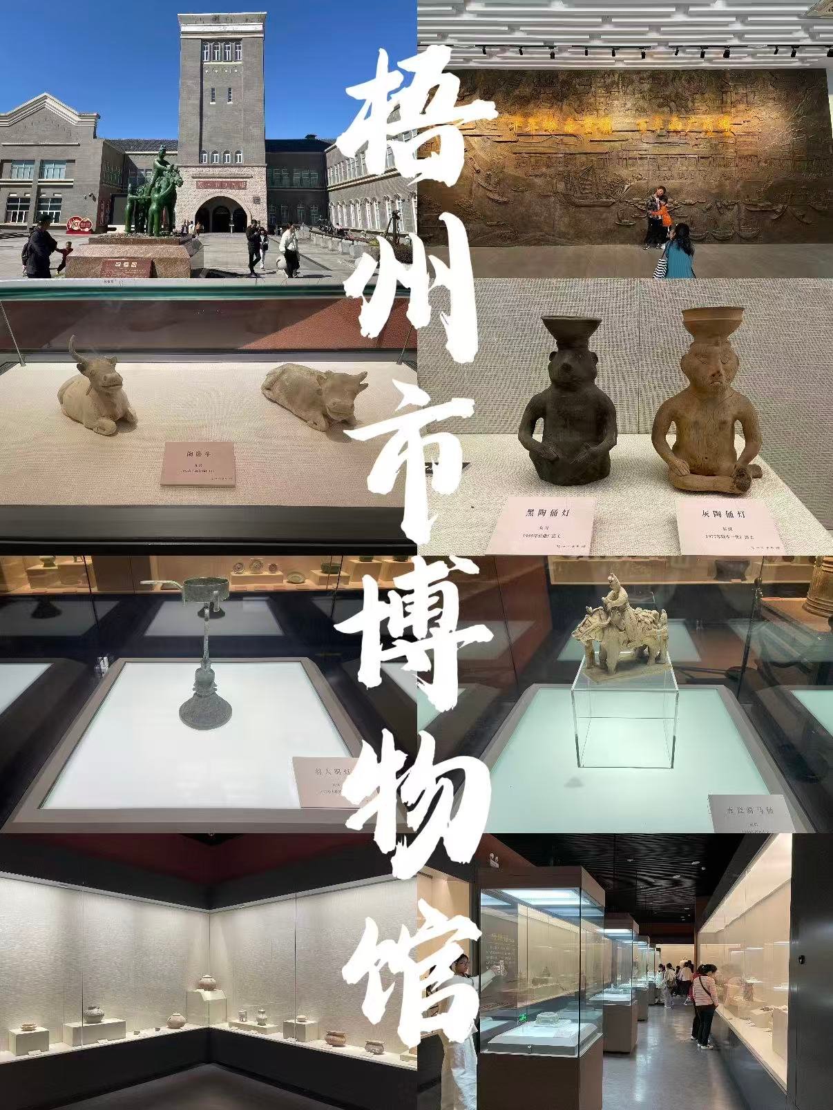 🏛️ 梧州市博物馆｜西江流域千年文明的时光容器