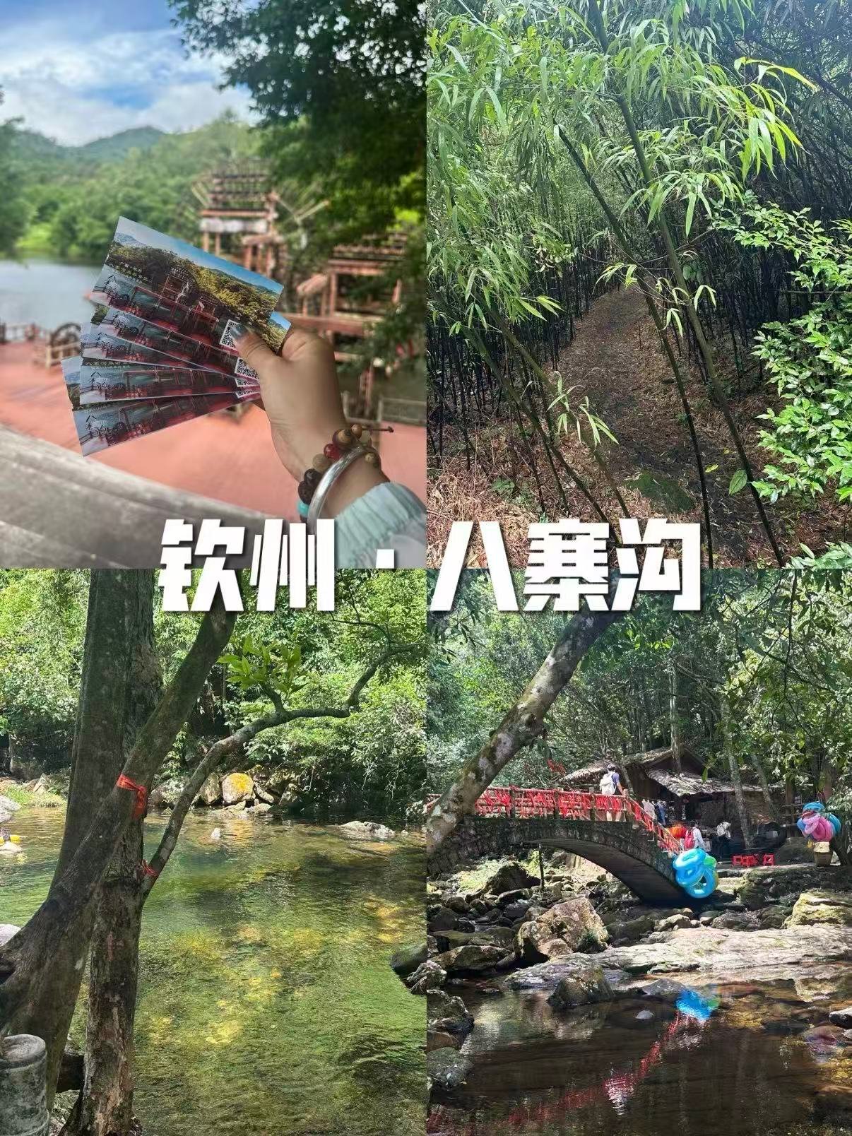 🌿 钦州八寨沟｜藏在竹林溪谷里的天然氧吧