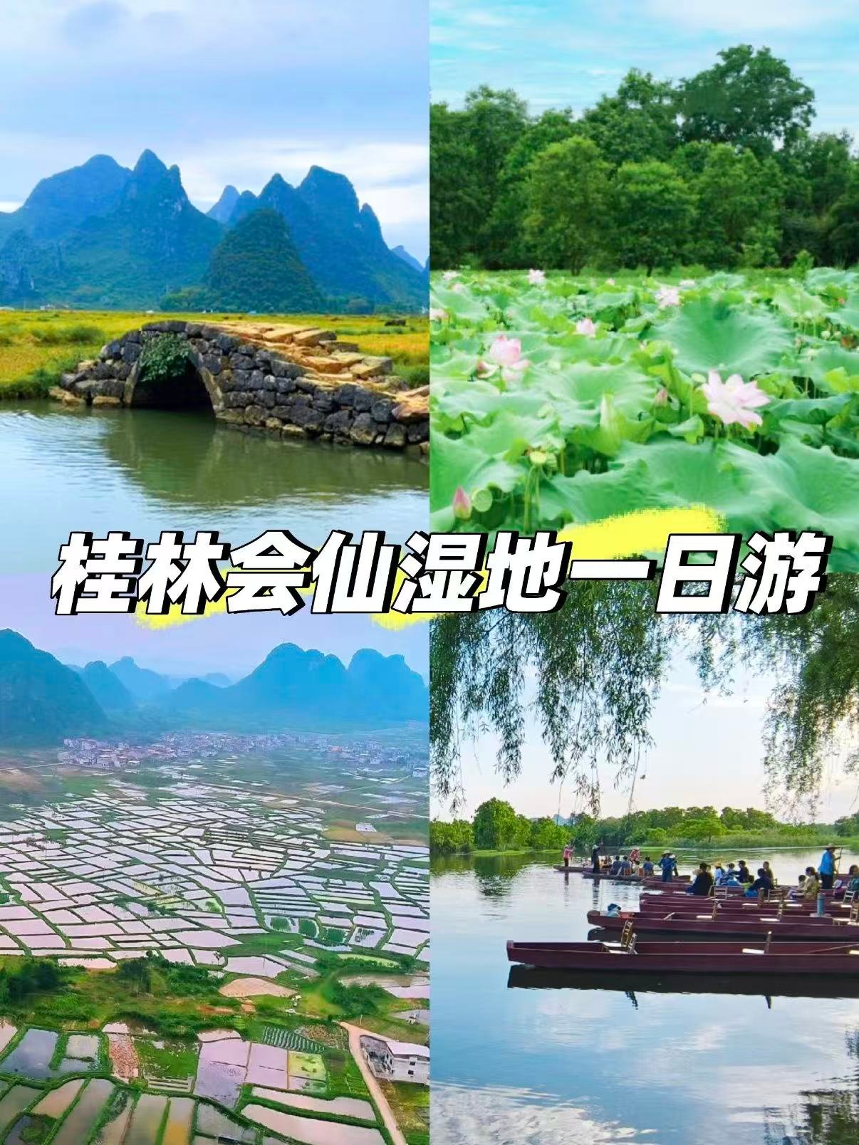 🌿 桂林会仙湿地｜水乡的诗意秘境✨