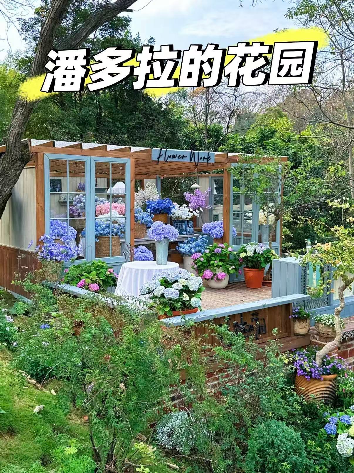 🌼 潘多拉的花园｜藏在城市里的爱丽丝仙境
