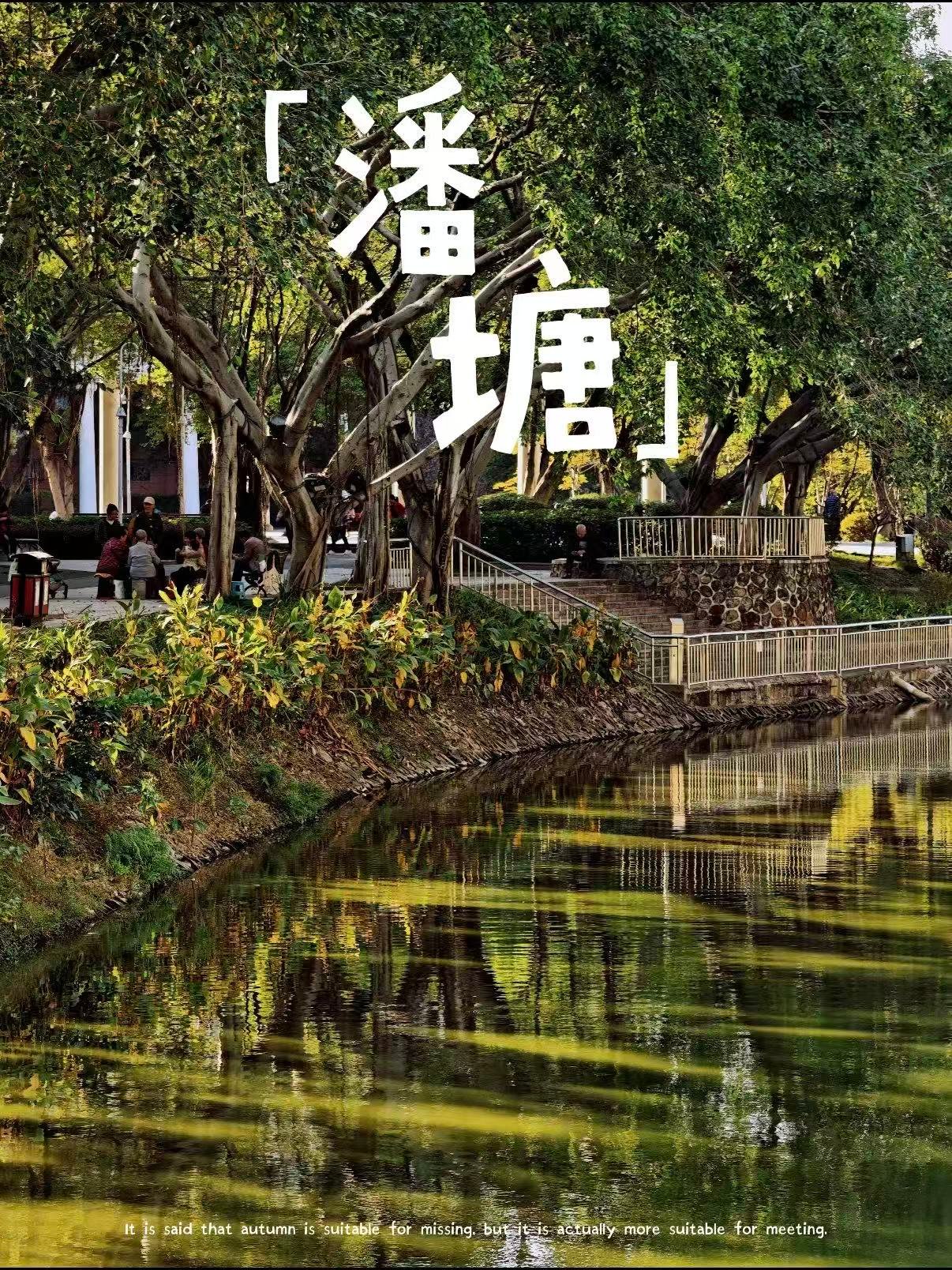 🌿 梧州潘塘公园｜治愈系绿洲✨