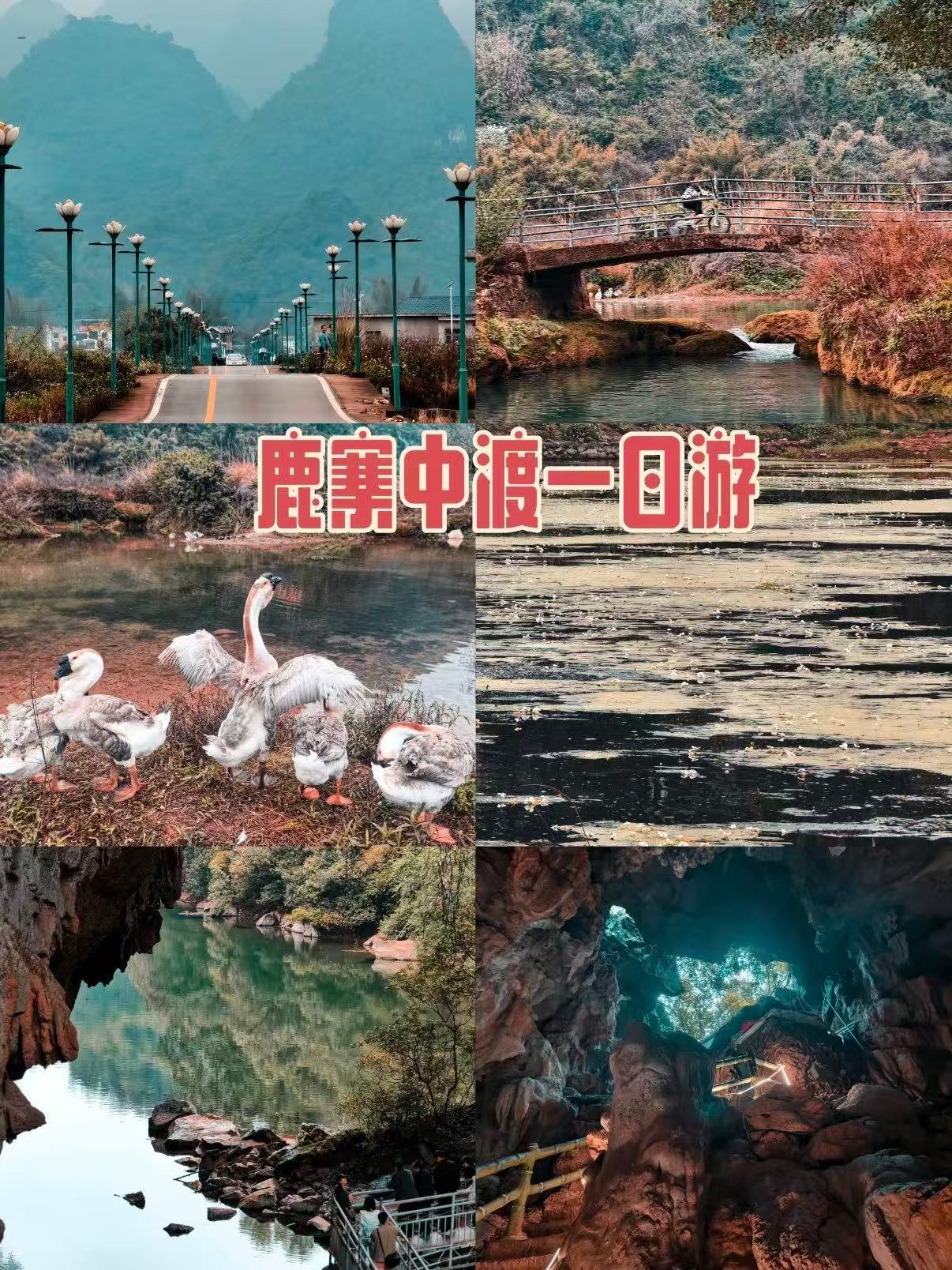 🌿 鹿寨中渡｜喀斯特水乡的一日秘境游
