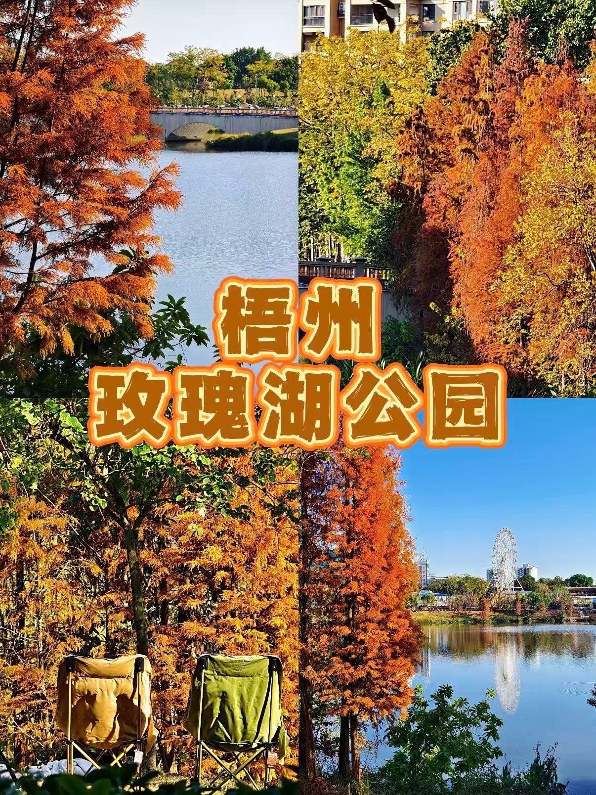 🌿 梧州玫瑰湖公园｜秋日童话魔法