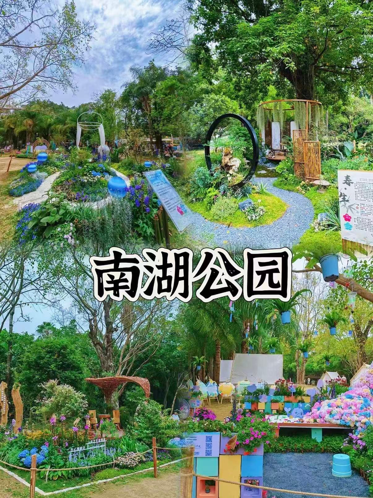 🌿南宁南湖公园｜城市里的春日秘境，藏着一整个治愈春天