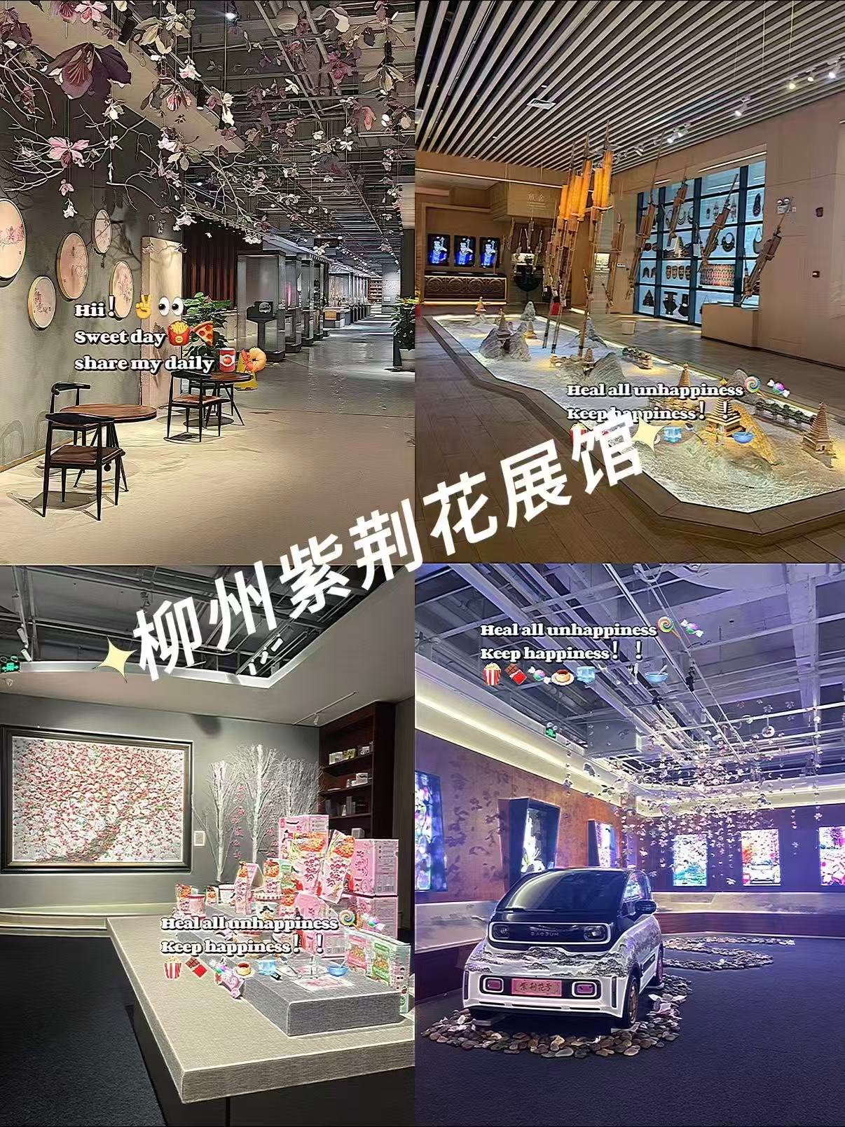 🌸 柳州紫荆花展馆｜把整座城市的春天搬进室内