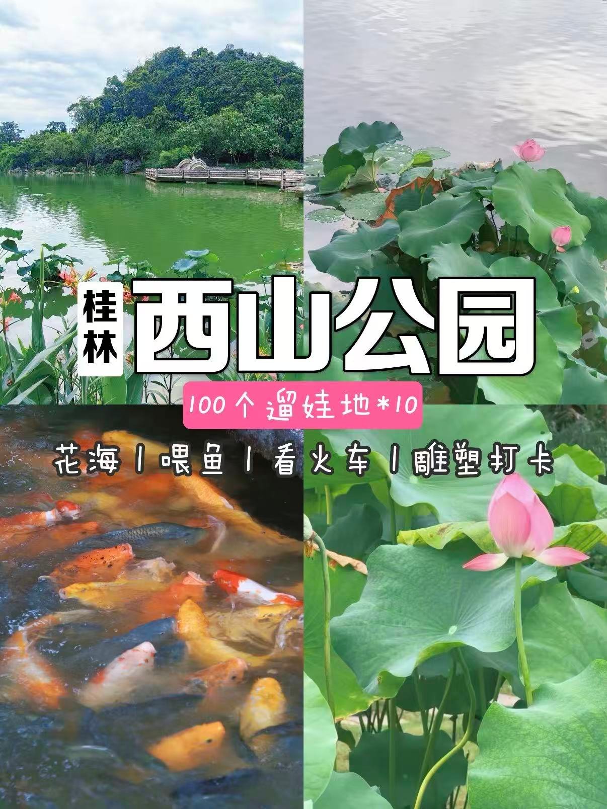 🌿 桂林西山公园｜藏在城市里的自然秘境